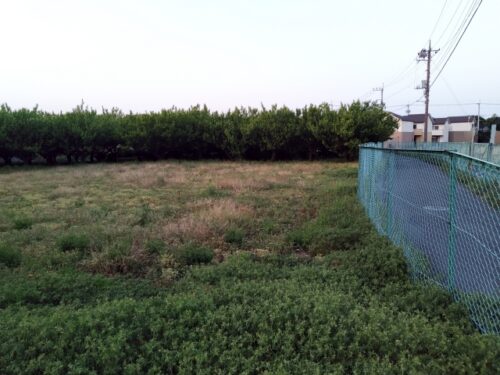 【プロが解説】遊休地とは？放置リスクと初期費用を抑えたおすすめ土地活用方法｜狭小・変形地も駐車場経営で収益化