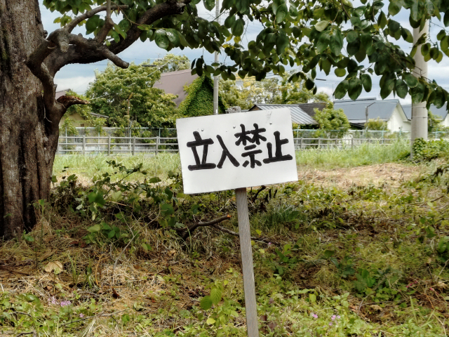 駐車場経営で後悔しないために｜よくある4つの原因と失敗しやすい土地の特徴、成功への準備をプロが解説
